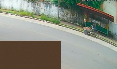 Homem abandona quatro filhotes de cachorro em parada de ônibus no Centro e foge