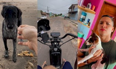 Jovem percorre ruas de Macapá levando alimento e esperança a animais abandonados