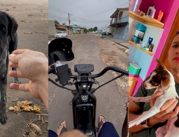 Jovem percorre ruas de Macapá levando alimento e esperança a animais abandonados