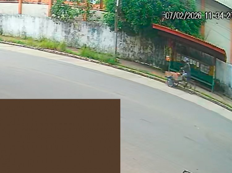 Homem abandona quatro filhotes de cachorro em parada de ônibus no Centro e foge