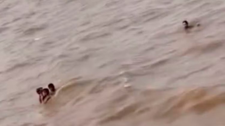 Herói da Orla: dono de restaurante salva três crianças de afogamento no Rio Amazonas, em Macapá